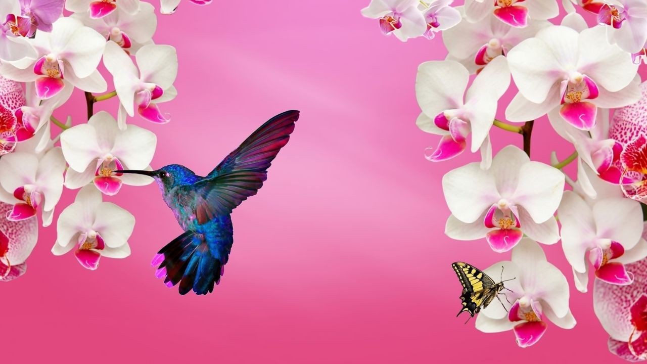 Flores para Atrair Beija-flores