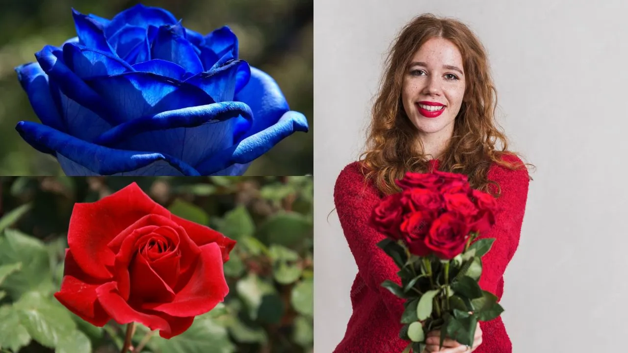 História das Rosas na Jardinagem