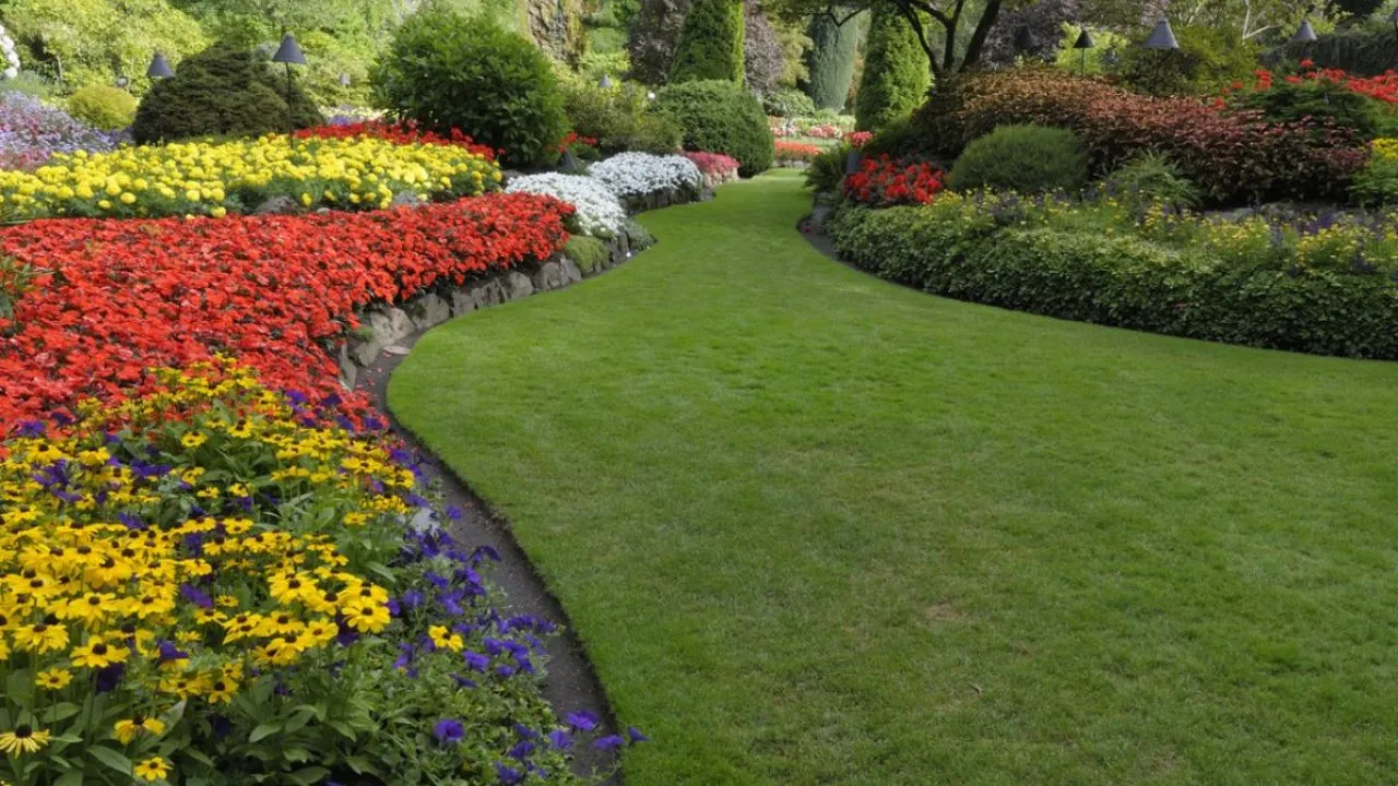 Manutenção Básica de um Jardim