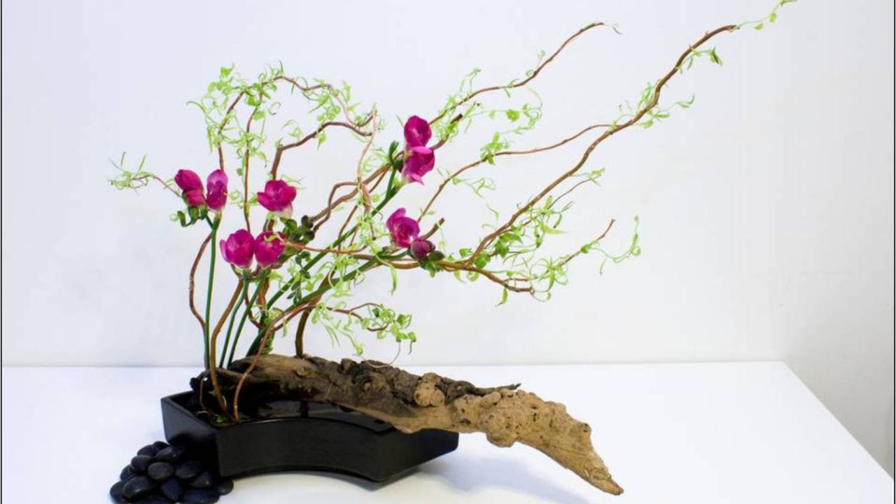 Relação Entre Flores e a Arte da Ikebana