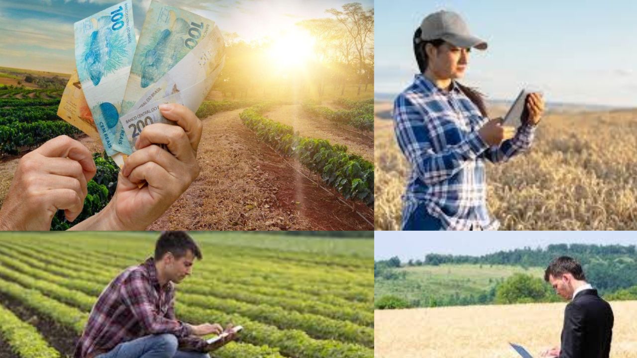 Salários de até R$ 200 Mil no Setor Agricolar