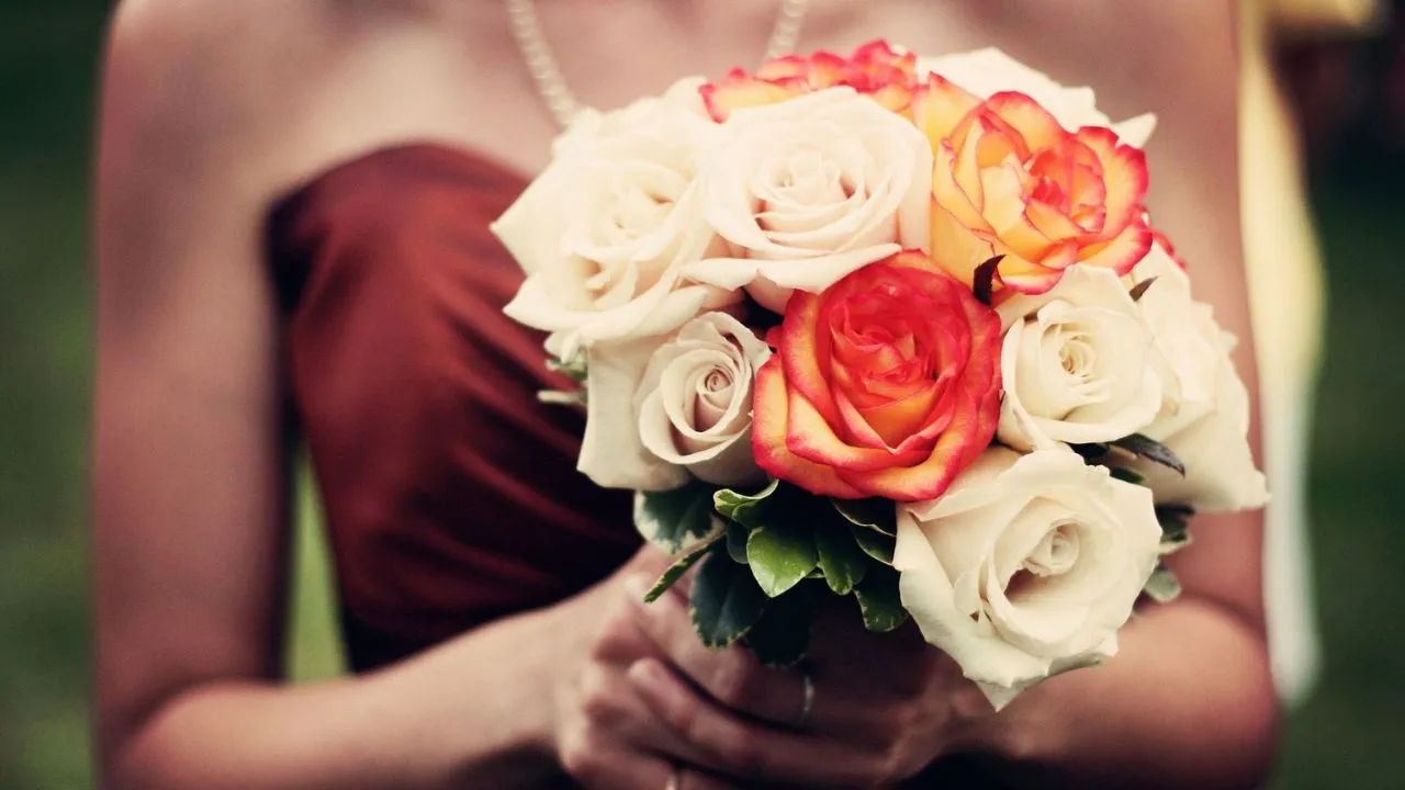 Significado das Cores das Rosas