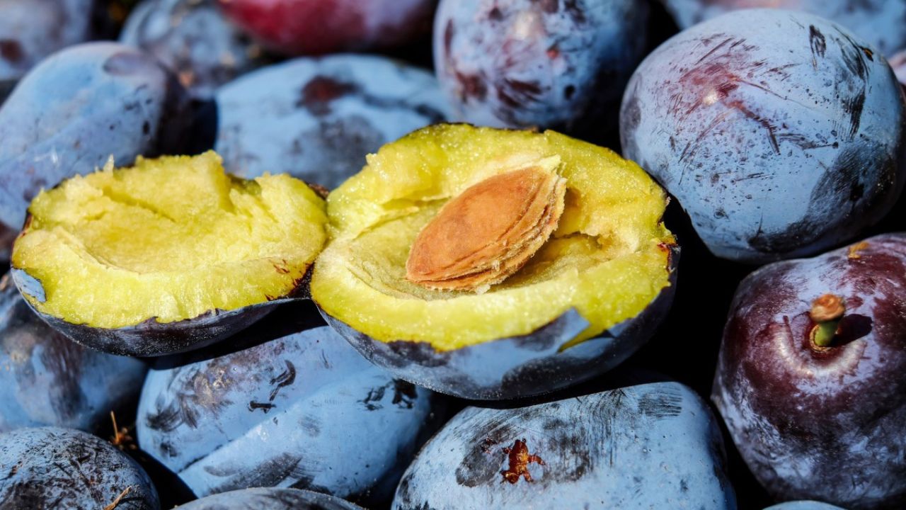 Benefícios do Consumo Consciente de Recursos Naturais