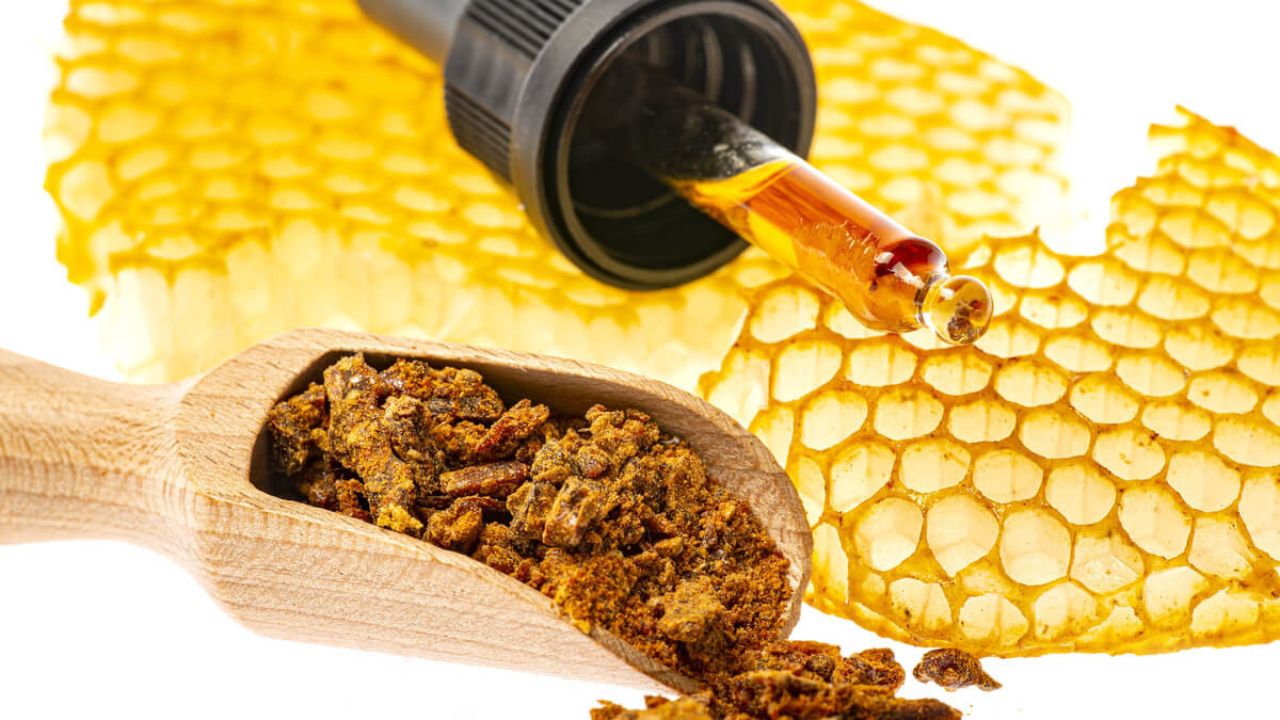 Benefícios do Própolis