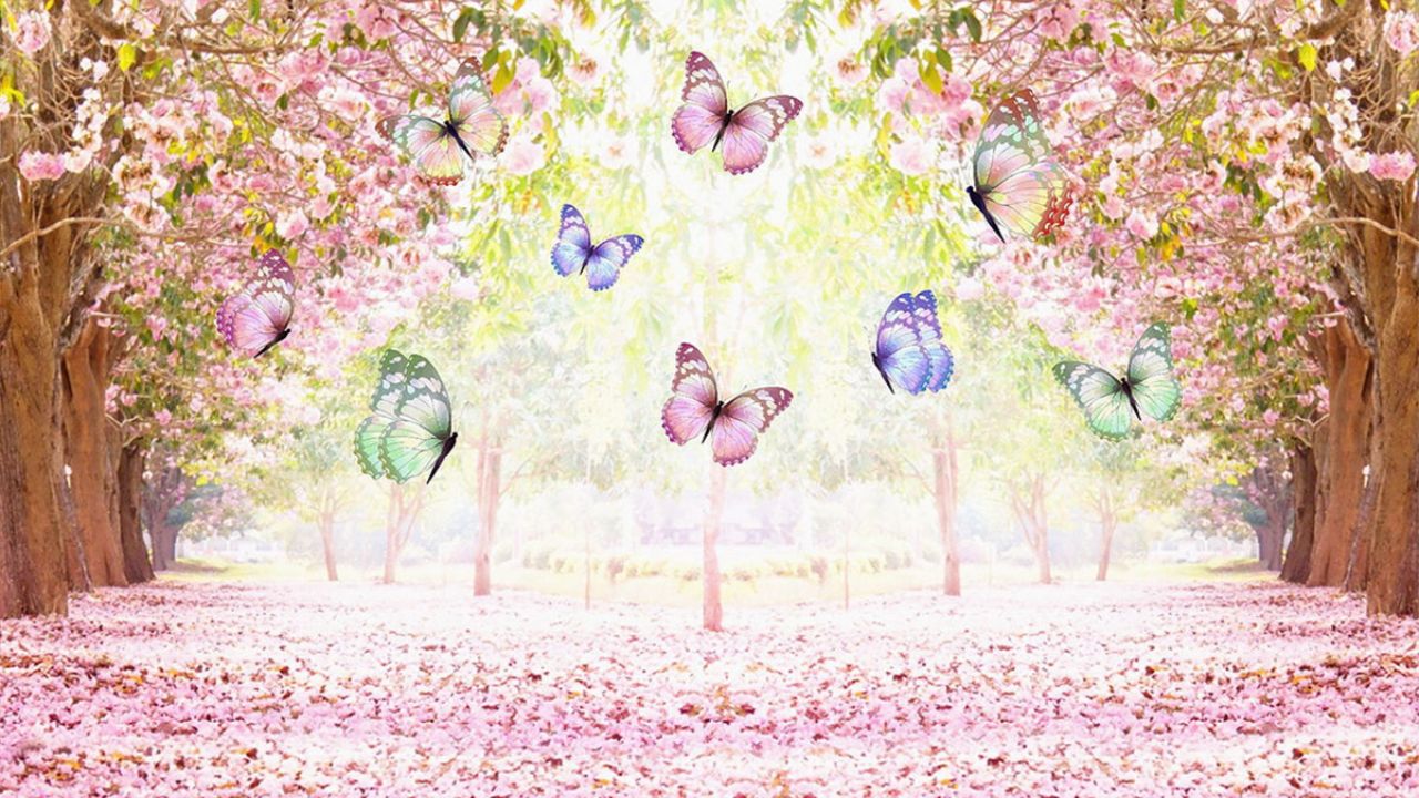 Como Criar um Jardim de Borboletas