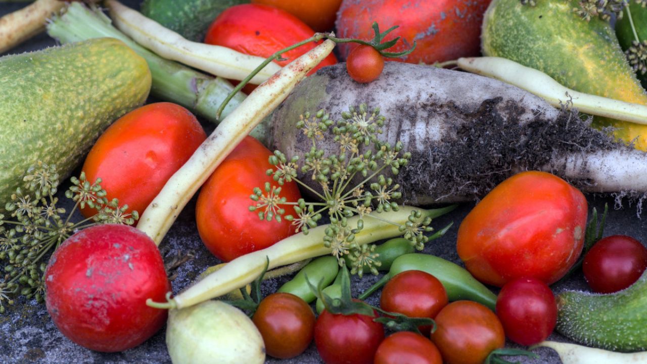 Como Cultivar uma Variedade de Legumes