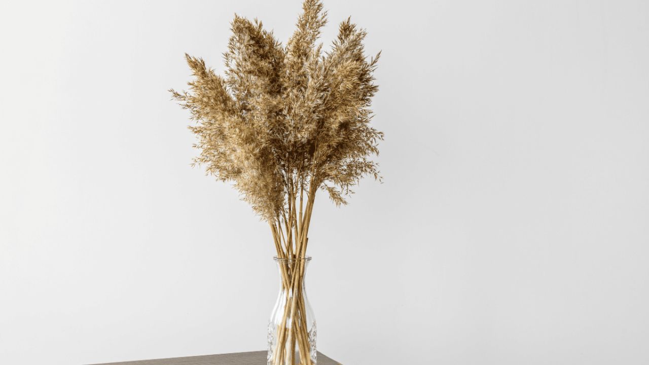 Decoração com Galhos Secos