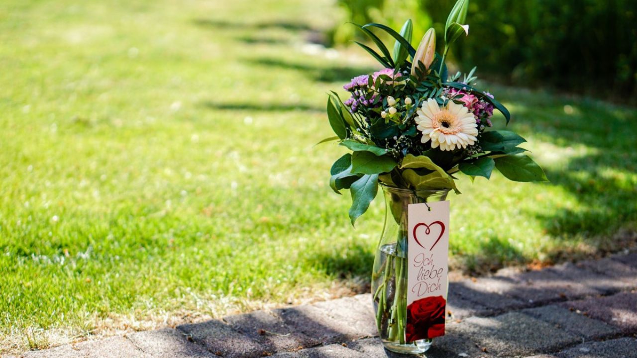 Flores para Todos os Momentos