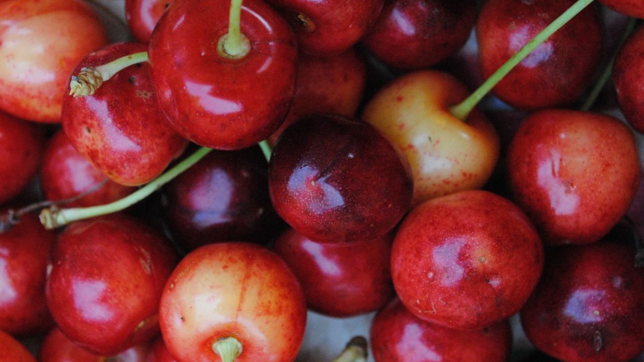 Frutas Plenas de Vida