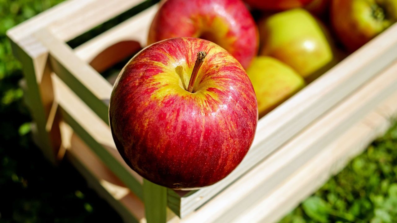 Frutas que Você Deve Comer Diariamente