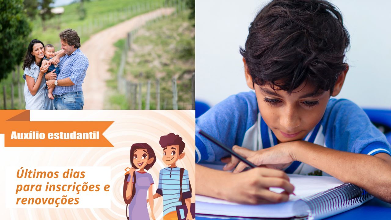 Governo dando dinheiro para você estudar