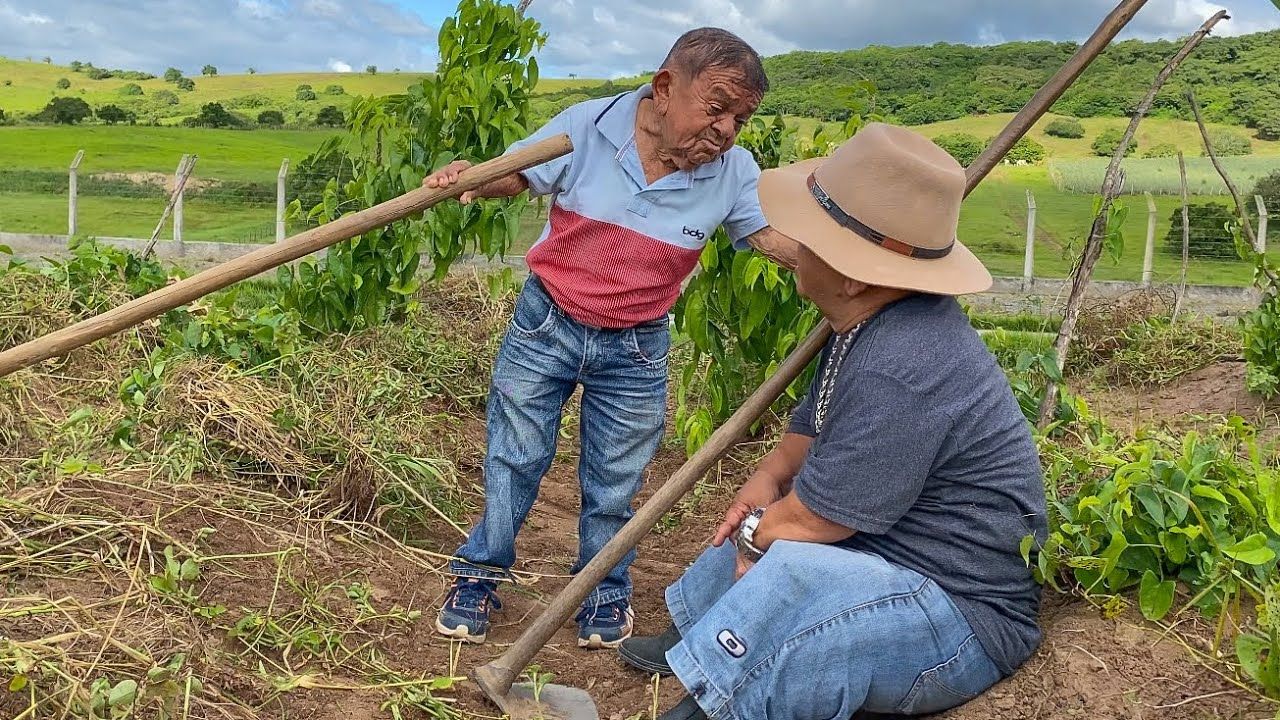 Cooperativas do Agronegócio Brasileiro