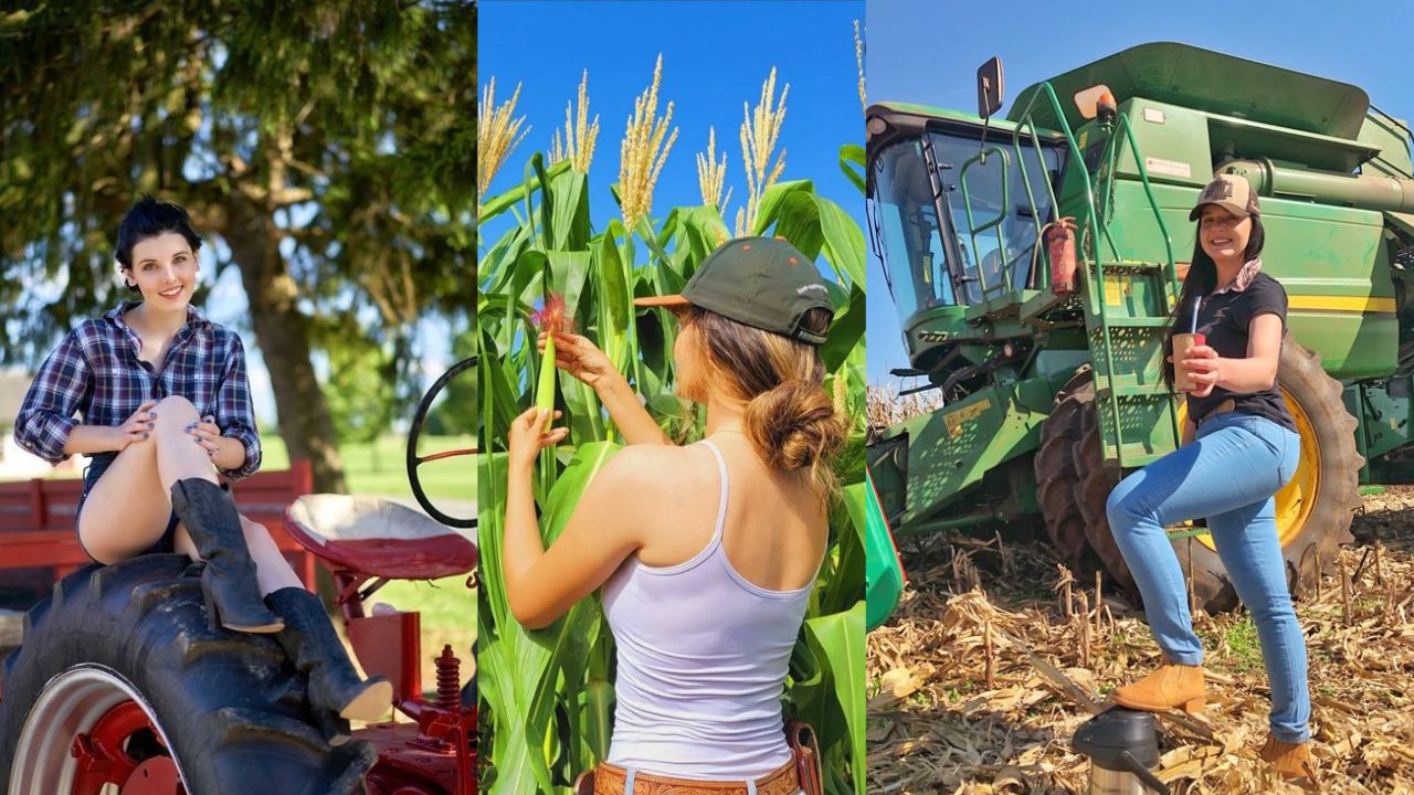 Maquinários na Roça