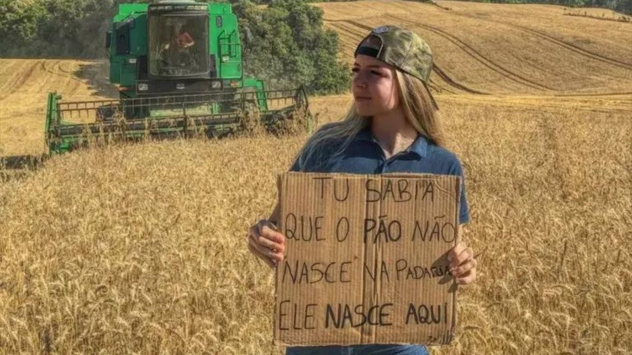 Onde o Agronegócio no Brasil Prospera