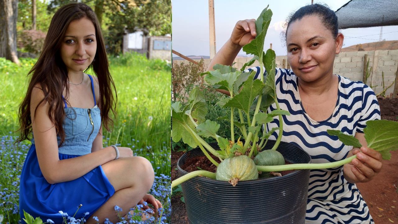 Plantar Abobrinhas no Quintal