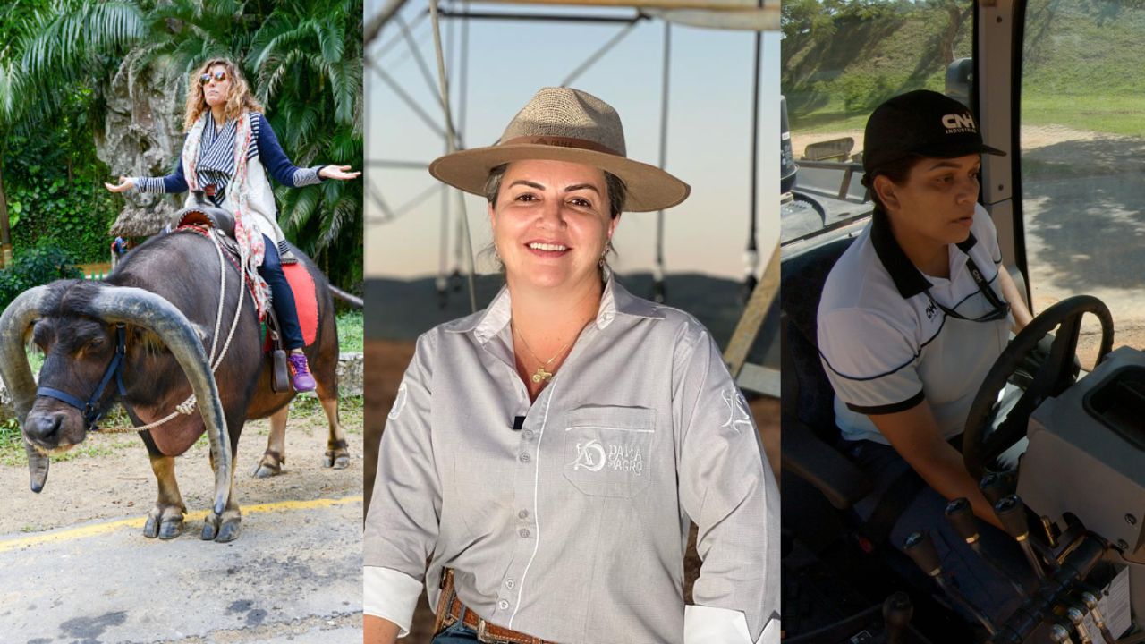 Reforma Tributária e o Potencial Benefício para o Setor Agropecuário