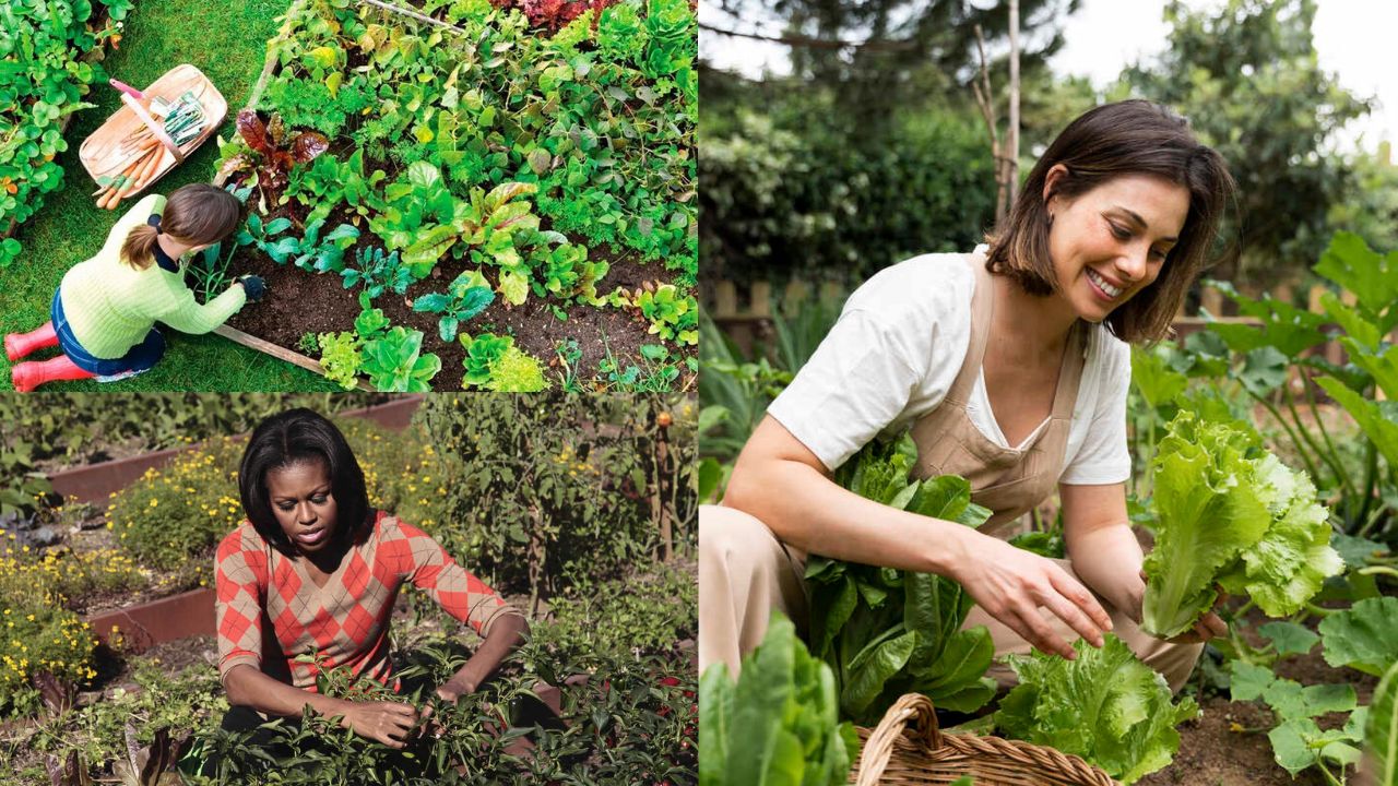 Segredos da Horta e Agriculta