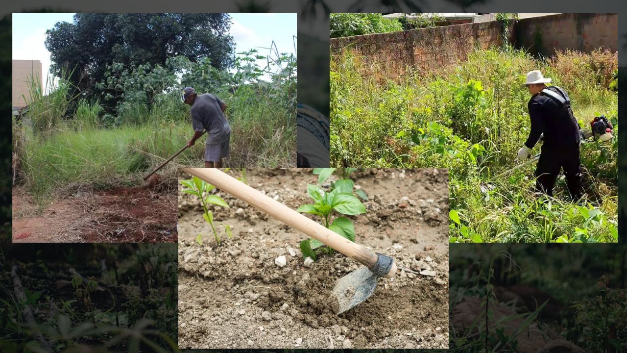Como Limpar um Terreno Cheio de Mato
