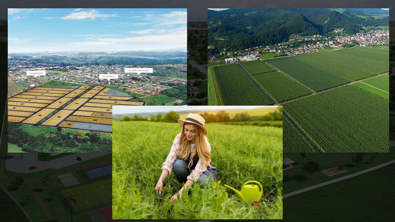 Processo de Loteamento de uma Propriedade Rural