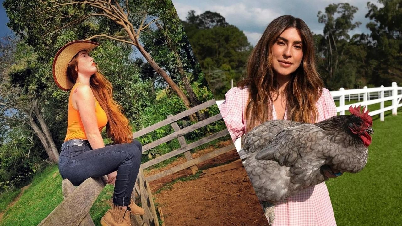 Motivos para Escolher a Vida na Roça