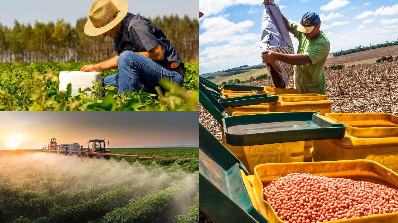 Venda de Insumos Agrícolas no Fim de Ano