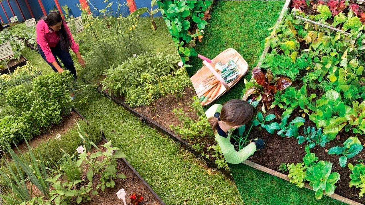 Cultivando Hortas em Espaços Pequenos
