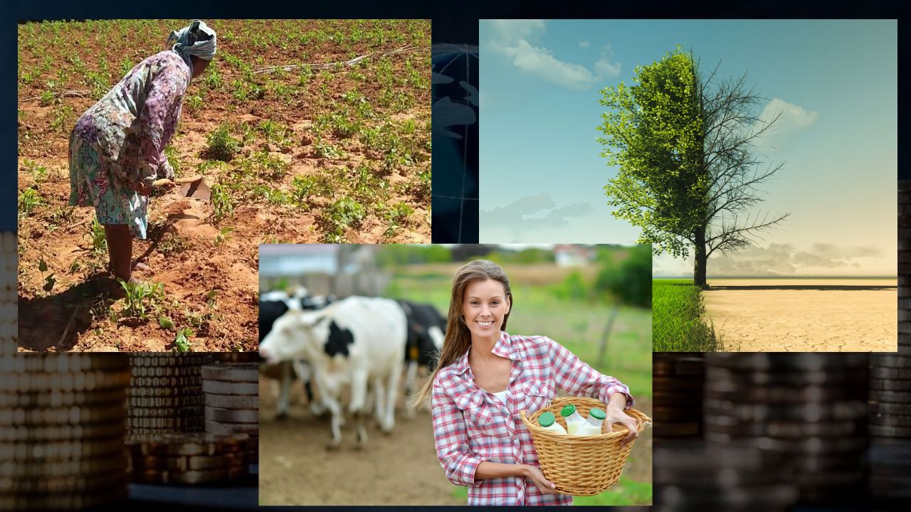 Importância da Economia na Roça