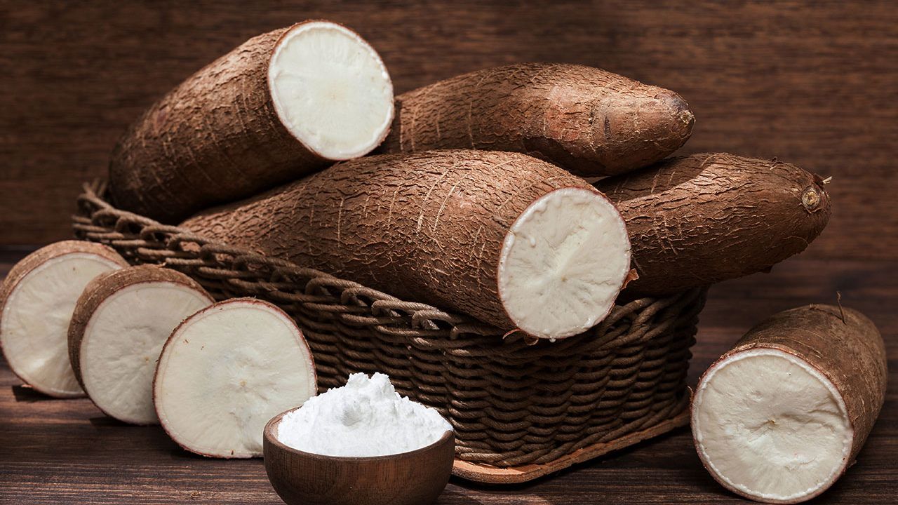 Importância da Mandioca